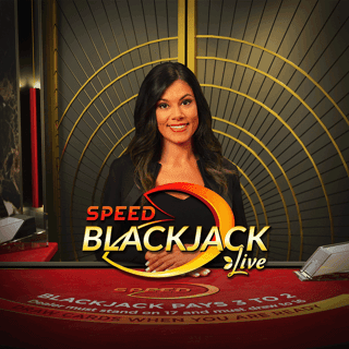 Speed VIP Blackjack B screenshot